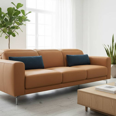 TAUCH - Cuscino Poggiareni di Arredo Decorativo per divani 60cm x 25cm, supporto lombare Morbido e Sfoderabile